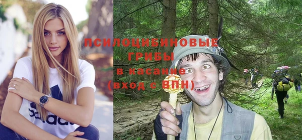 крисы Горняк