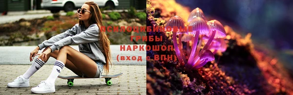 гидропоника Вяземский