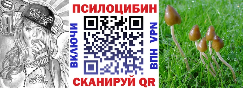 Купить где  Лихославль  Псилоцибиновые грибы MAGIC MUSHROOMS 